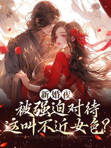 新婚夜被强迫对待，这叫不近女色？小说的无弹窗阅读体验，寻找免费阅读网站