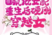 惊！疯批女配重生后硬刚穿越女（崔绾绾沈景舟）在线免费阅读-经典文学