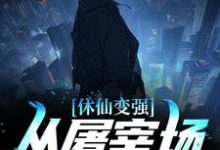 主人公叫苏峻沈冰叶的小说哪里免费看-经典文学