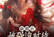 新婚夜被强迫对待，这叫不近女色？谢临珩虞听晚小说在线章节目录阅读最新章节-经典文学