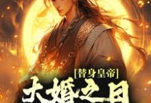 林止陌安灵熏为主角的小说叫什么？免费看替身皇帝，大婚之日假戏真做了-经典文学