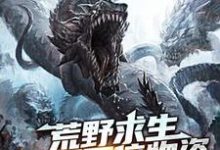 荒野求生：开局百倍物资江白慕灵小说在线章节免费阅读-经典文学
