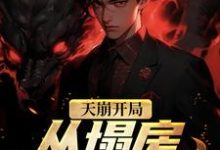 天崩开局！从塌房明星开始免费阅读，天崩开局！从塌房明星开始夏至-经典文学