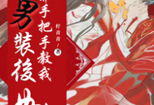 《女扮男装后，王爷手把手教我如何撩他》小说章节列表免费试读，苍羽唐圣宁小说在线阅读-经典文学