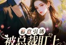 蓄意引诱！被总裁盯上的日日夜夜小说有没有完结版在线？-经典文学