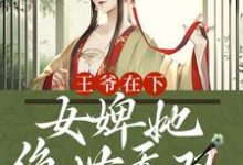 小说《王爷在下:女婢她绝世无双》在线章节阅读-经典文学