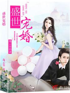 盛世宠婚小说，盛世宠婚章节在线阅读