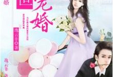 安奈顾安辰小说叫什么（盛世宠婚免费阅读）-经典文学