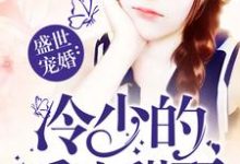 盛世宠婚：冷少的重生甜妻小说的无弹窗阅读体验，寻找免费阅读网站-经典文学