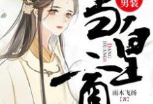 免费看女扮男装当皇商小说的网站有哪些?-经典文学