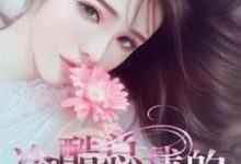 冷酷总裁的小女仆小说阅读,冷酷总裁的小女仆完结版-经典文学