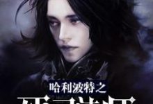 完结版《哈利波特之死灵法师》在线免费阅读-经典文学