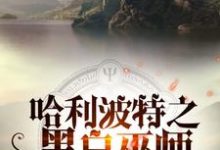 免费阅读罗斯·邓曼莱昂·迈斯为主角的小说，哈利波特之黑白巫师在线看-经典文学