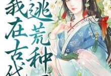 快穿：我在古代逃荒种田（苏宝珠）在线免费阅读-经典文学