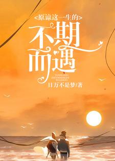 已完结小说《原谅这一生的不期而遇》在线章节阅读