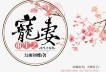 重生之宠妻小说无弹窗阅读的网站推荐-经典文学
