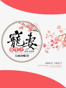 重生之宠妻小说无弹窗阅读的网站推荐