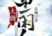 大唐第一闲人小说，大唐第一闲人最新章节-经典文学