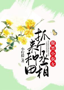 金小花南宫夜金大宝是哪本书的主角？腹黑小农女：抓个丞相来种田免费读