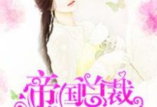 陆清婉帝洛琛小说叫什么（帝国总裁深深爱免费阅读）-经典文学