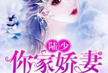 萧妃陆祁容白芷灵的故事在哪本书里？免费阅读陆少，你家娇妻要黑化-经典文学