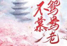 完结版《不羡鸳鸯老》章节阅读-经典文学