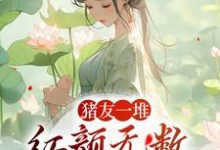 哪里能找到猪友一堆,红颜无数,这叫年少有为小说的最新更新和免费章节?-经典文学