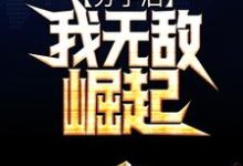 叶枫苏穆青为主角的小说好看吗?求分手后,我无敌崛起免费试读-经典文学