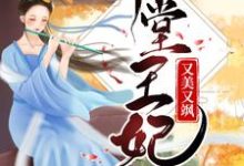 已完结小说《下堂王妃又美又飒》在线章节阅读-经典文学
