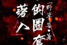 落入他的圈套陈烈苏圆，落入他的圈套最新章节-经典文学