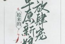 乔灵儿赤烈尧为主角的小说好看吗？免费读抢来的草原新娘放肆宠-经典文学
