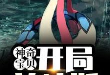 主人公叫叶寻的小说哪里免费看-经典文学