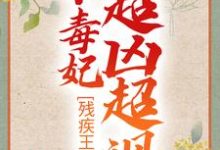 主角 冷潇南宫翼天小说完结版在线阅读，残疾王爷的小毒妃超凶超飒免费看-经典文学