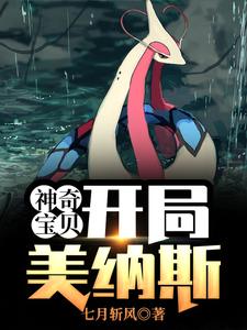 完结版《神奇宝贝：开局美纳斯》章节阅读