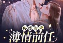 再嫁当天，薄情前任来抢婚这本小说完结了吗？免费查看最新章节-经典文学