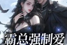 已完结小说《霸总强制爱，乖乖哪里逃》章节在线阅读-经典文学