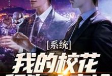 系统：我的校花舔狗太高冷苏渊许安颜小说在线章节目录阅读最新章节-经典文学