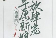 乔灵儿赤烈尧的小说在哪里看？免费在线阅读抢来的草原新娘放肆宠-经典文学