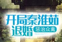 开局秦淮茹退婚，惩治众禽小说的无弹窗阅读体验，寻找免费阅读网站-经典文学