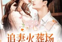 追妻火葬场！狗男人被虐惨啦小说阅读，追妻火葬场！狗男人被虐惨啦完结版-经典文学