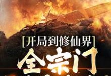 主角许平秋小说完结版在线阅读，开局到修仙界，全宗门都是精怪？免费看-经典文学