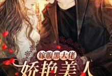 哪里能找到嫁腹黑大佬，娇艳美人撩他诱哄他小说的全部章节？-经典文学