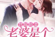 替嫁娇妻：老婆是个隐藏大佬免费阅读，替嫁娇妻：老婆是个隐藏大佬章节在线阅读-经典文学