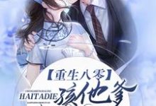 在线寻找宋谨言陆焱的小说,重生八零:孩他爹,咱破镜重圆免费阅读-经典文学