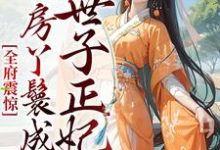 《全府震惊，通房丫鬟成了世子正妃》小说大结局免费试读  乔晚傅清淮小说-经典文学