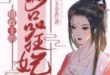 完结版《摄政王的医品狂妃》章节阅读-经典文学