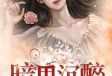 暗里沉醉小说的免费阅读版本在哪里可以找到?-经典文学
