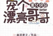 《黑化快穿:宠个漂亮哥哥》小说主角姬芮司墨章节章节免费在线阅读-经典文学