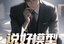 完结版《说好模型，你真飞起来了？》在线免费阅读-经典文学