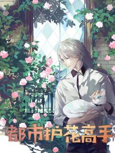 小说《都市护花高手》章节免费阅读